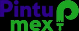 Pintumex